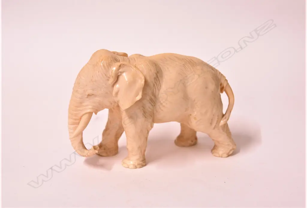An early 20thC finely carved ivory Asian elephant Image 1++