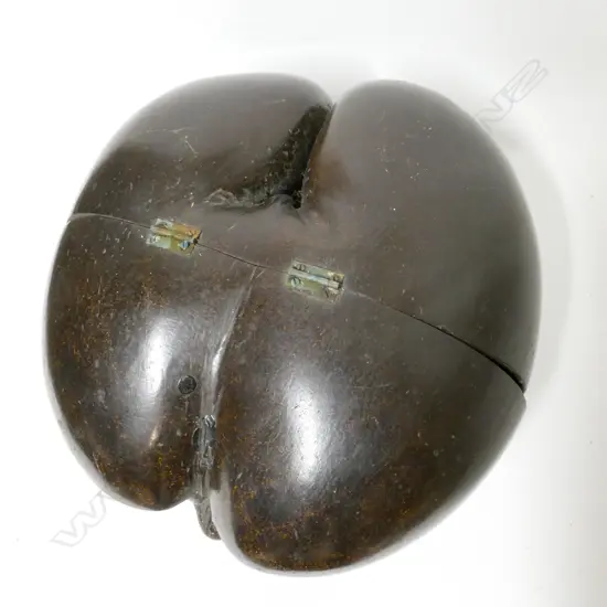 A coco de mer box