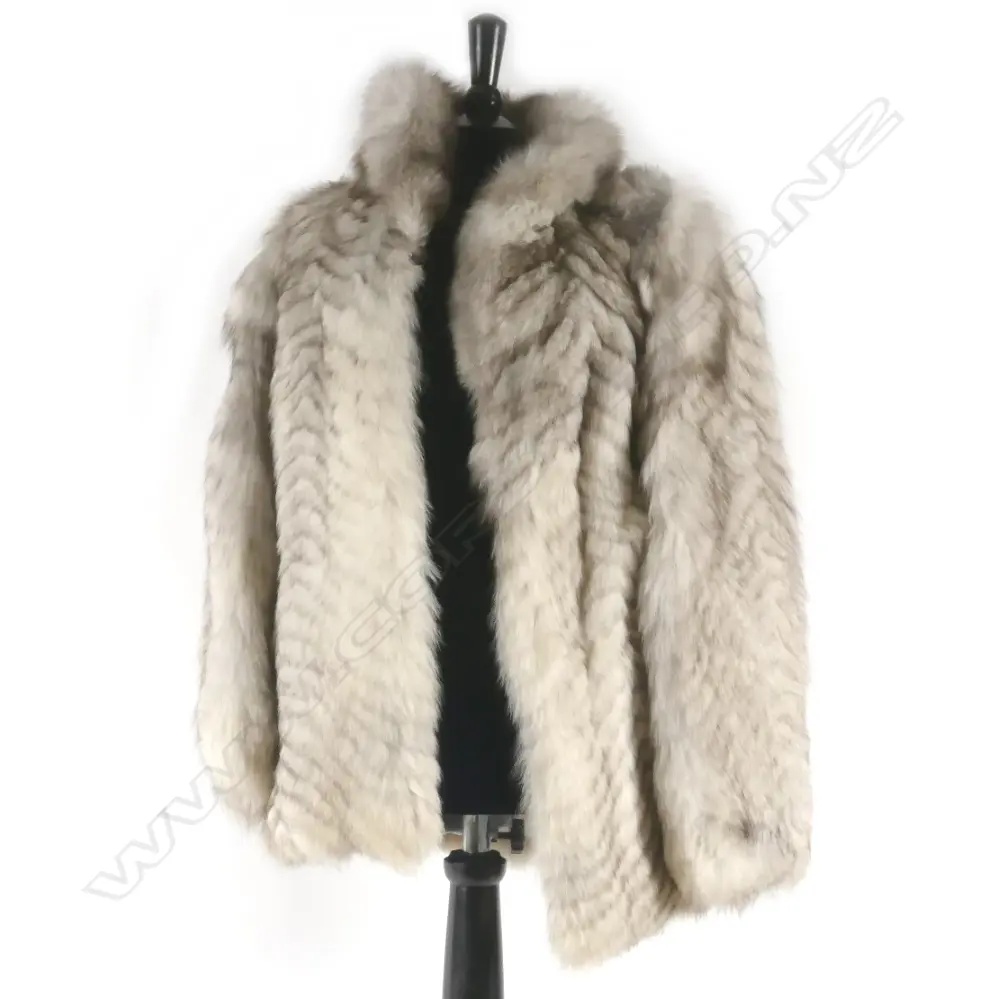 A Blue Fox 'stroller' Image 1++