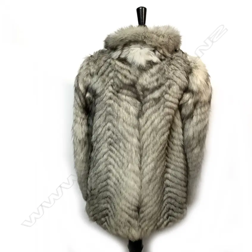 A Blue Fox 'stroller' Image 1++