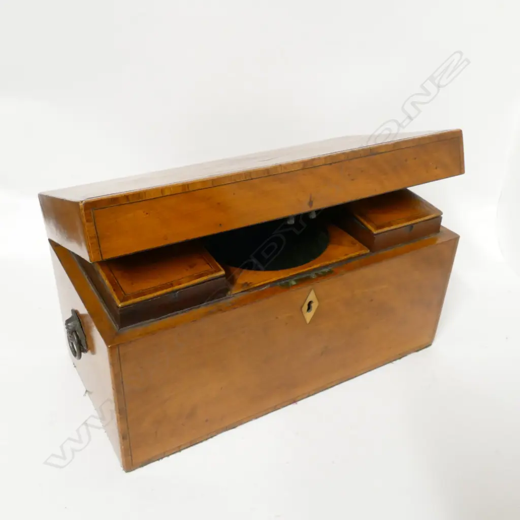 A Georgian satinwood tea caddy Image 1++