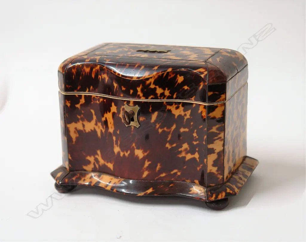 A good early Victorian tortoiseshell casket form tea caddy Image 1++