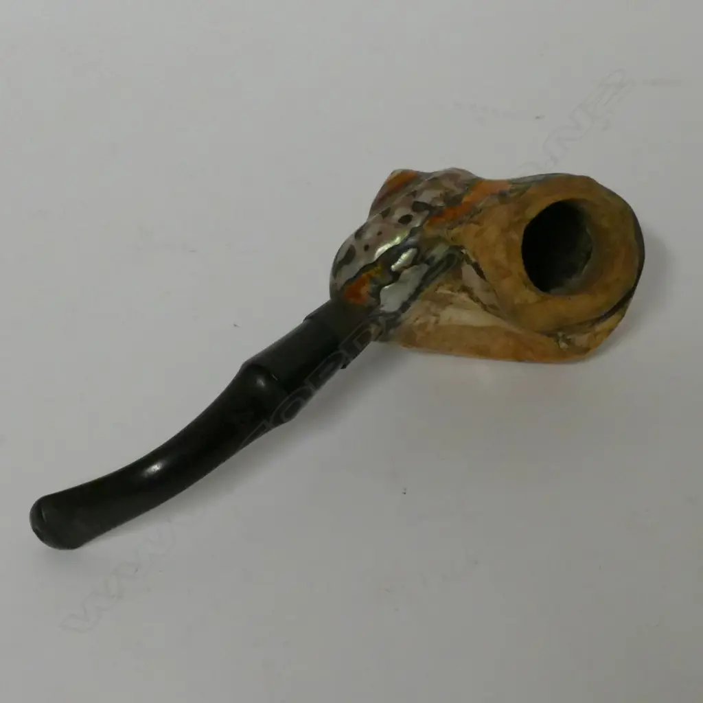 A spiral seashell used as the bowl of a tobacco pipe Image 1++