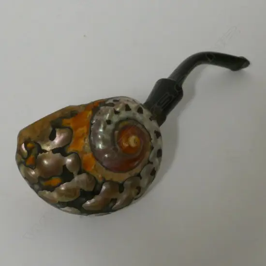 A spiral seashell used as the bowl of a tobacco pipe