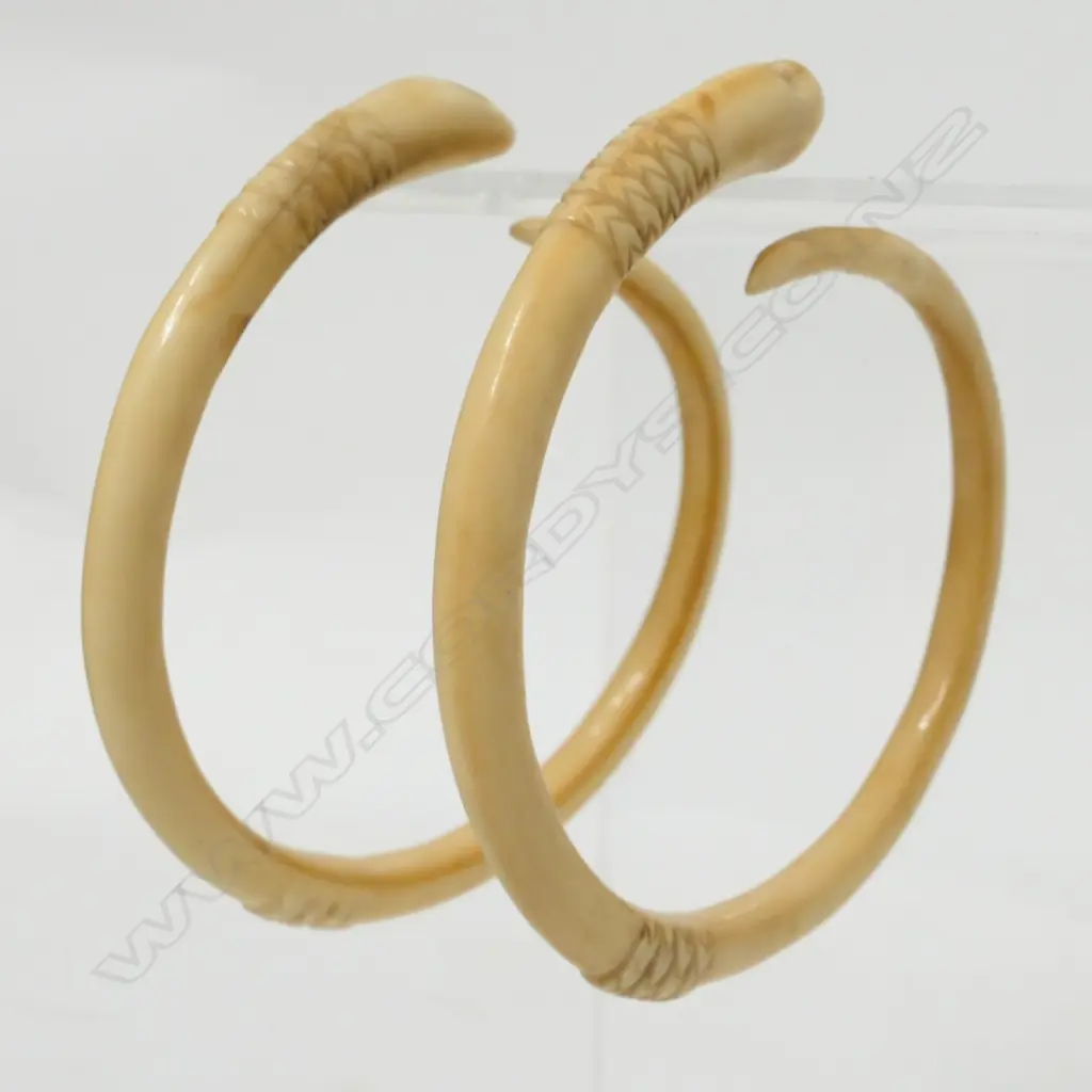 A pair of old highly curved boars tusk earrings Image 1++