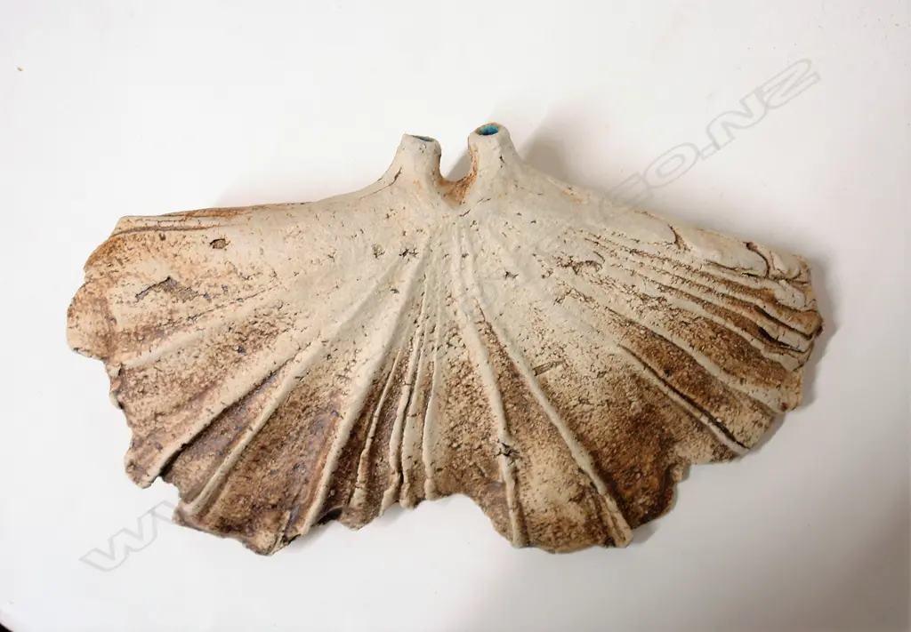 A Len Castle hanging winged form Image 1++