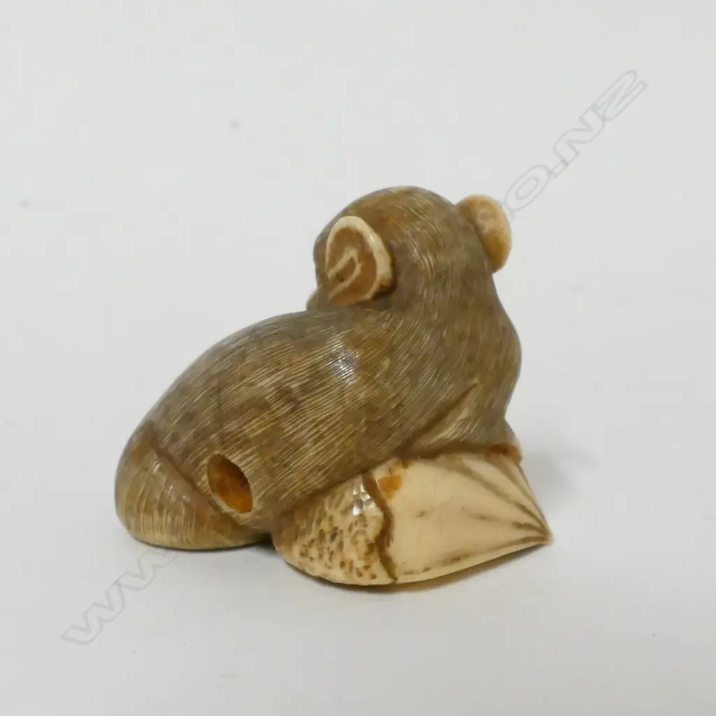 A Japanese ivory netsuke Image 1++