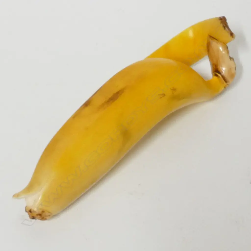 A late Meiji period Japanese ivory okimono carving in the form of a partially peeled banana Image 1++