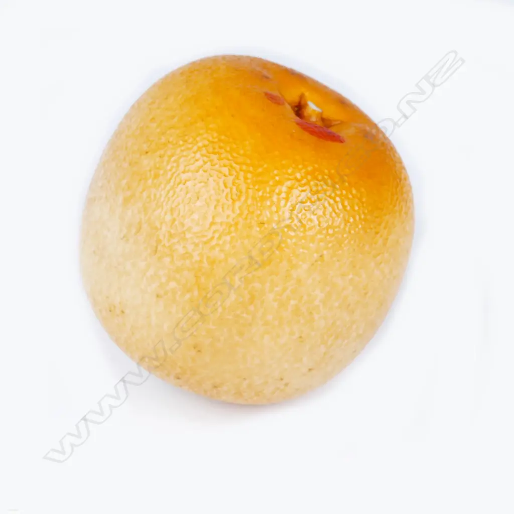 A late Meiji period Japanese ivory okimono carving in the form of a navel orange Image 1++