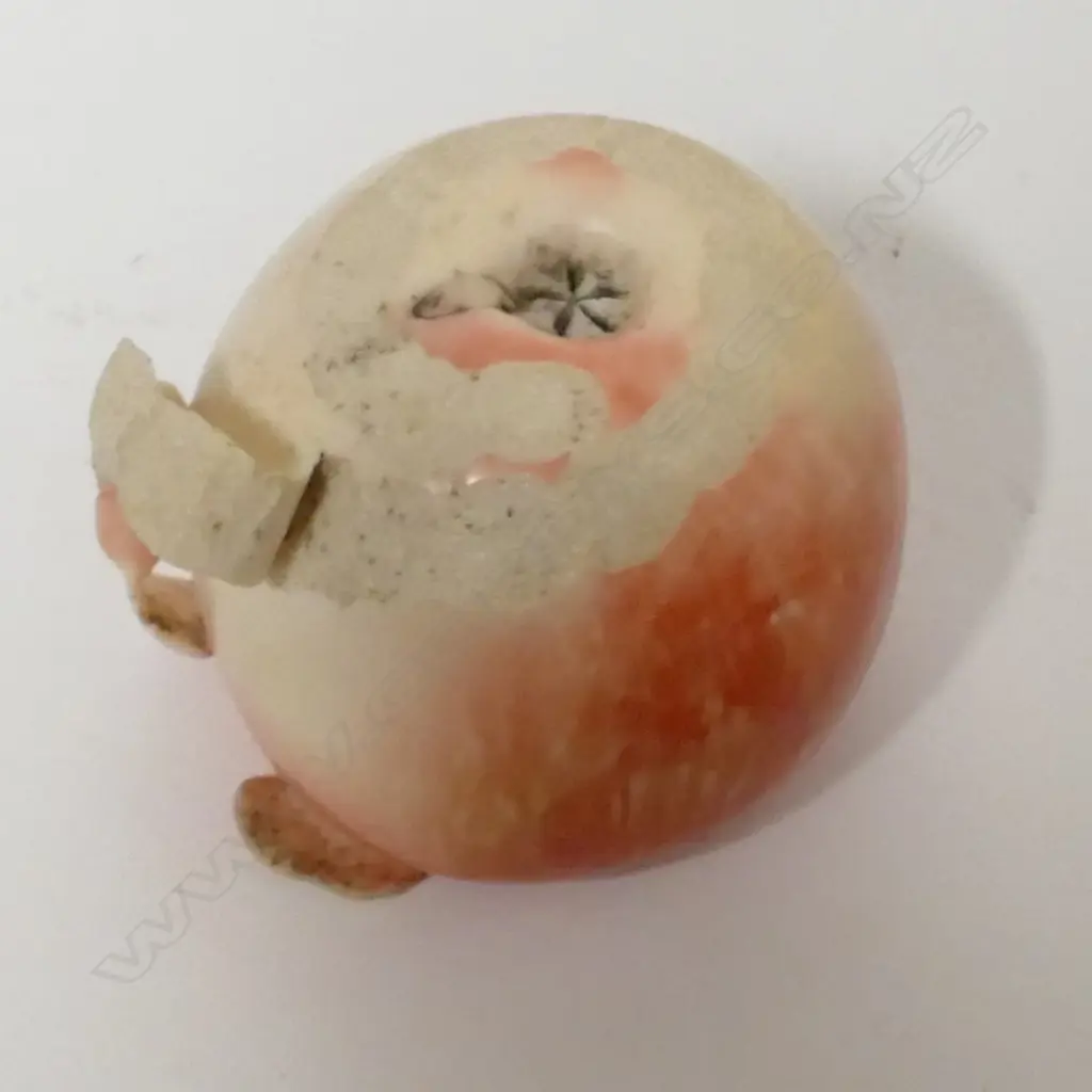 A late Meiji period Japanese ivory okimono carving in the form of a partially peeled apple Image 1++