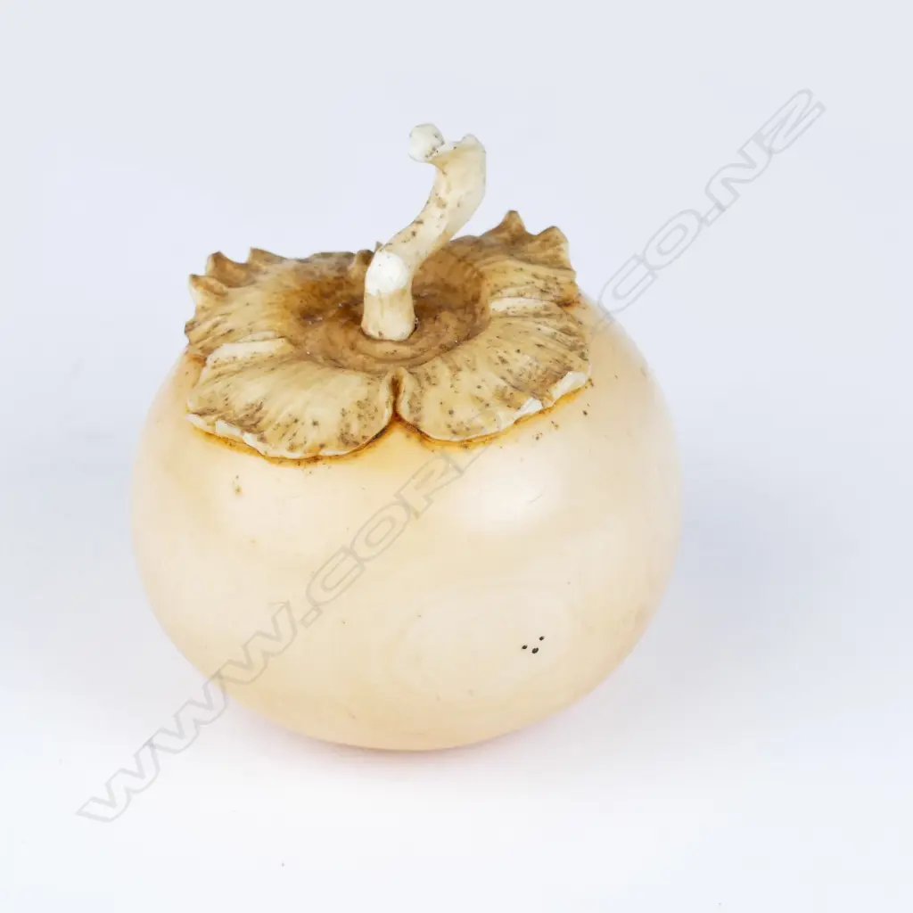 A late Meiji period Japanese ivory okimono carving in the form of a persimmon Image 1++