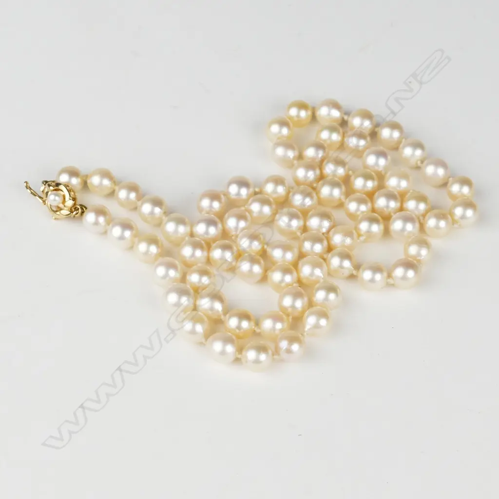 A single strand cultured pearl necklace Image 1++