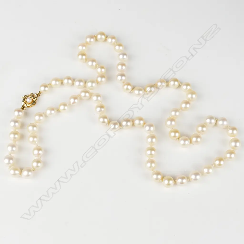 A single strand cultured pearl necklace Image 1++