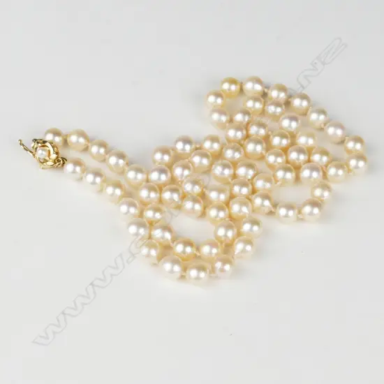 A single strand cultured pearl necklace