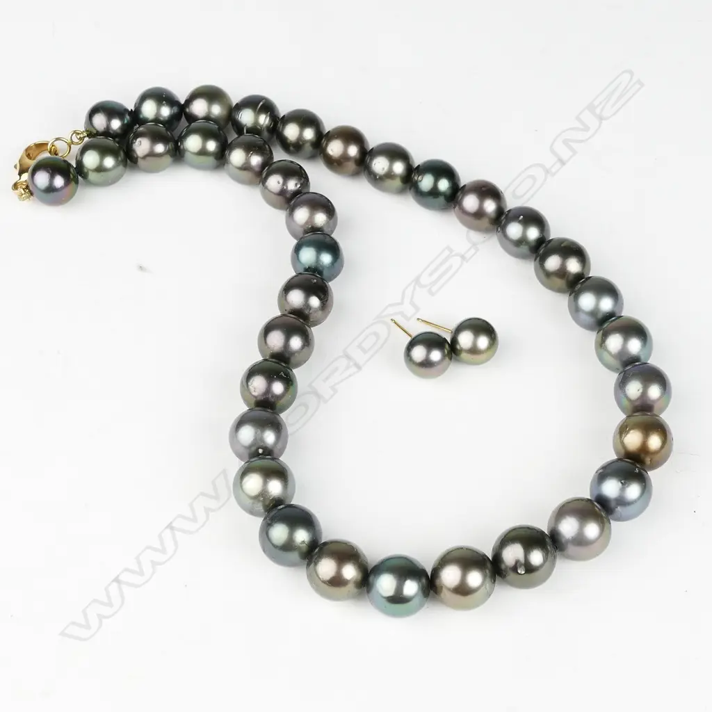 A Tahitian black pearl single strand necklace Image 1++