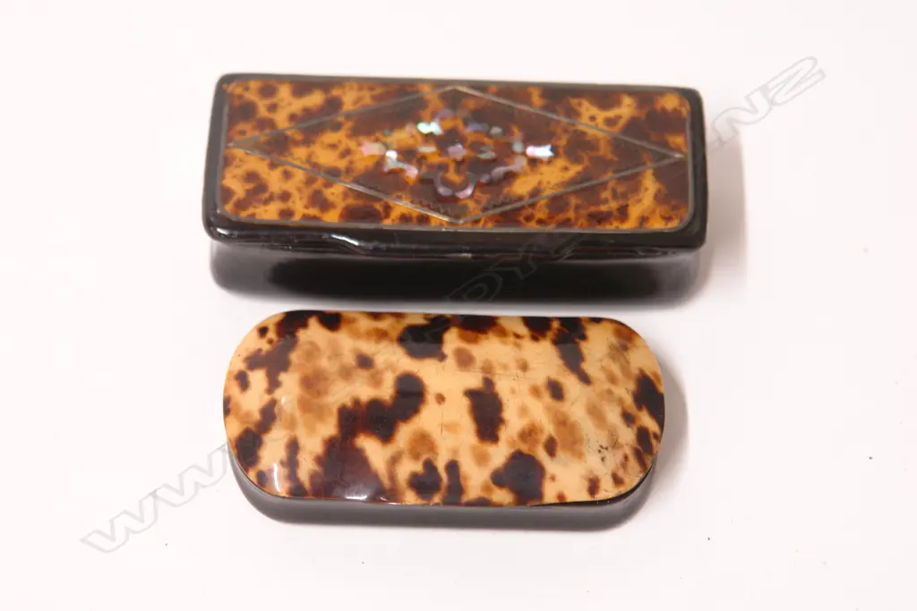 Two early 19thC horn and tortoiseshell snuff boxes Image 1++