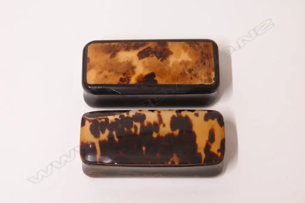 Two early 19thC horn and tortoiseshell snuff boxes Image 1++