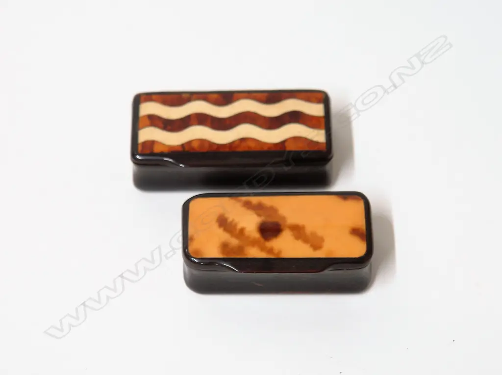 Two early 19thC horn and tortoiseshell snuff boxes Image 1++