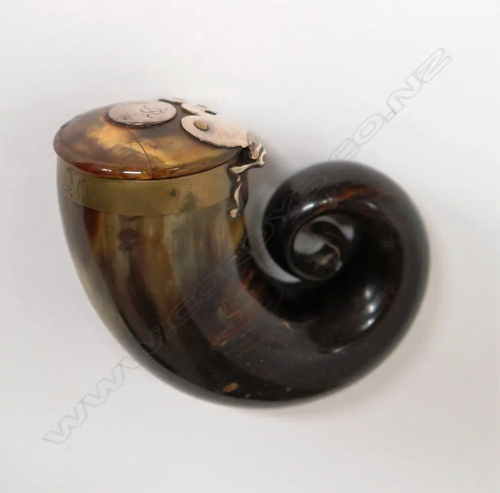 A George III Scottish ram's horn snuff mull Image 1++