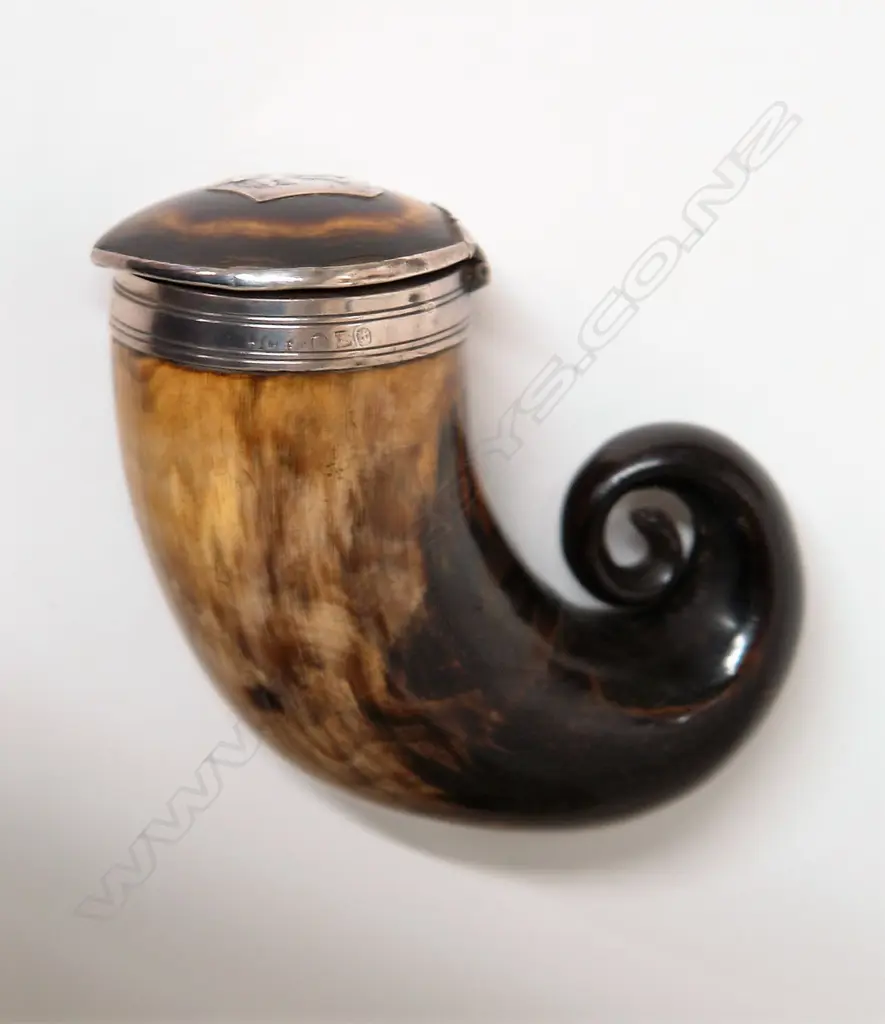 A Victorian Scottish ram's horn and silver snuff mull Image 1++