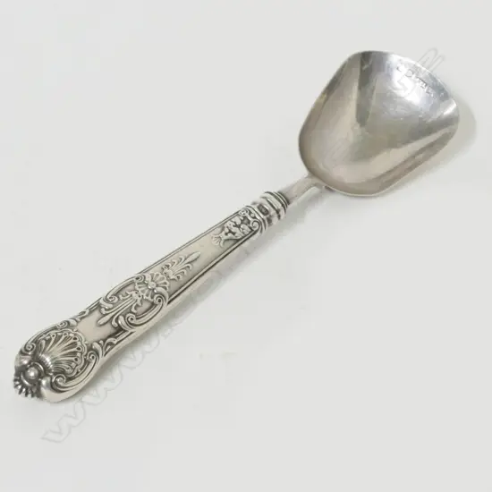 A George IV silver tea caddy spoon