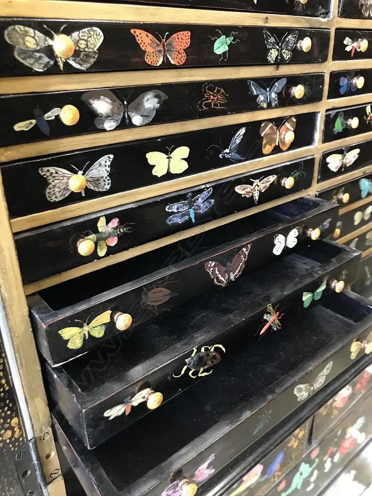 An early 1900s black japanned polychrome and gilt decorated collector's cabinet Image 1++