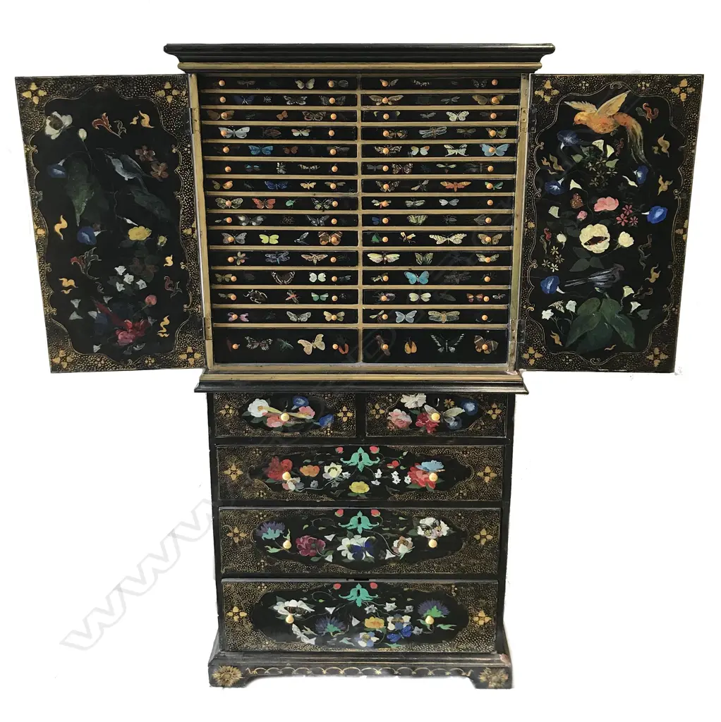 An early 1900s black japanned polychrome and gilt decorated collector's cabinet Image 1++
