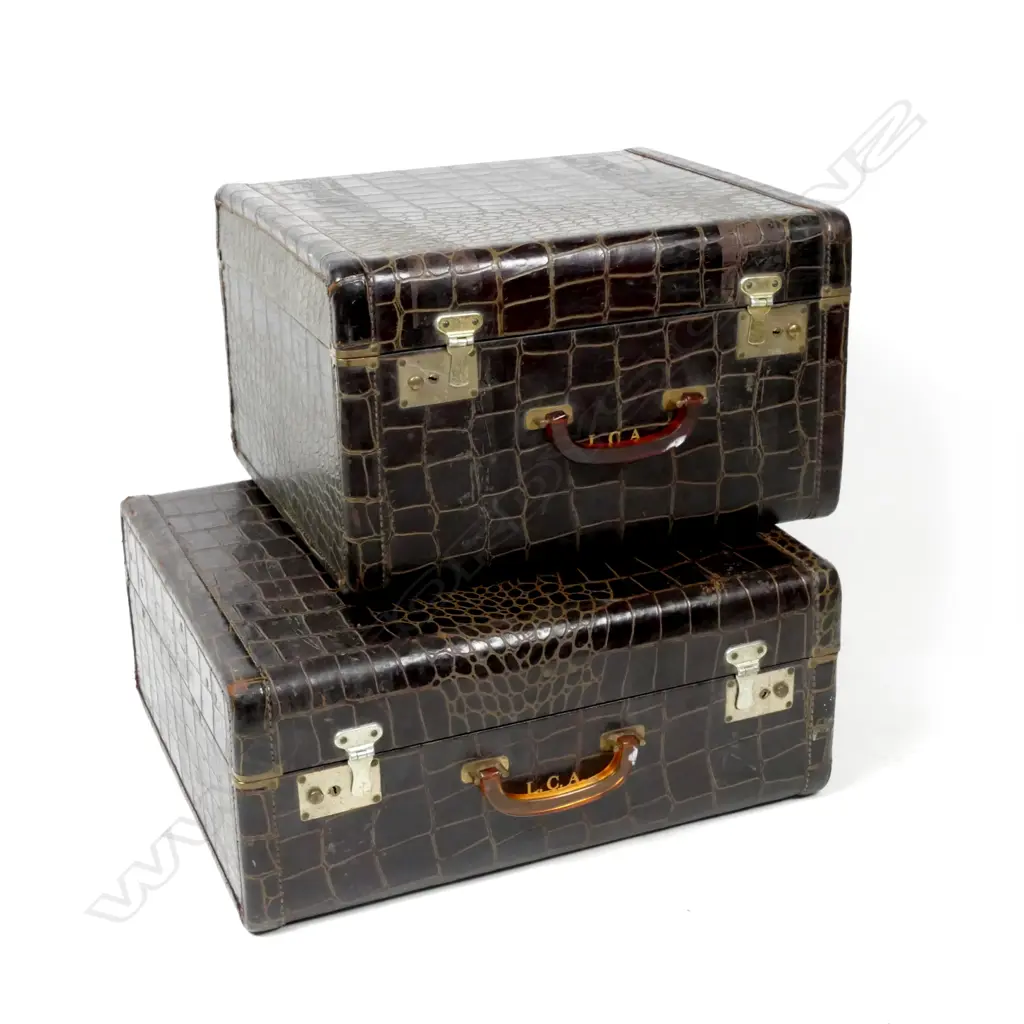 Two vintage leather faux alligator hide suitcases Image 1++