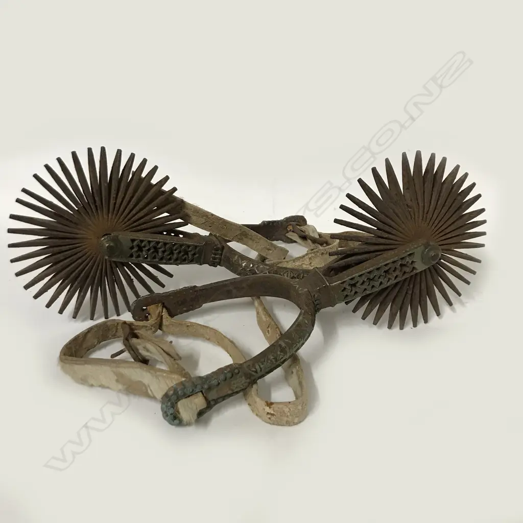 A pair of 19thC Chilean spurs Image 1++