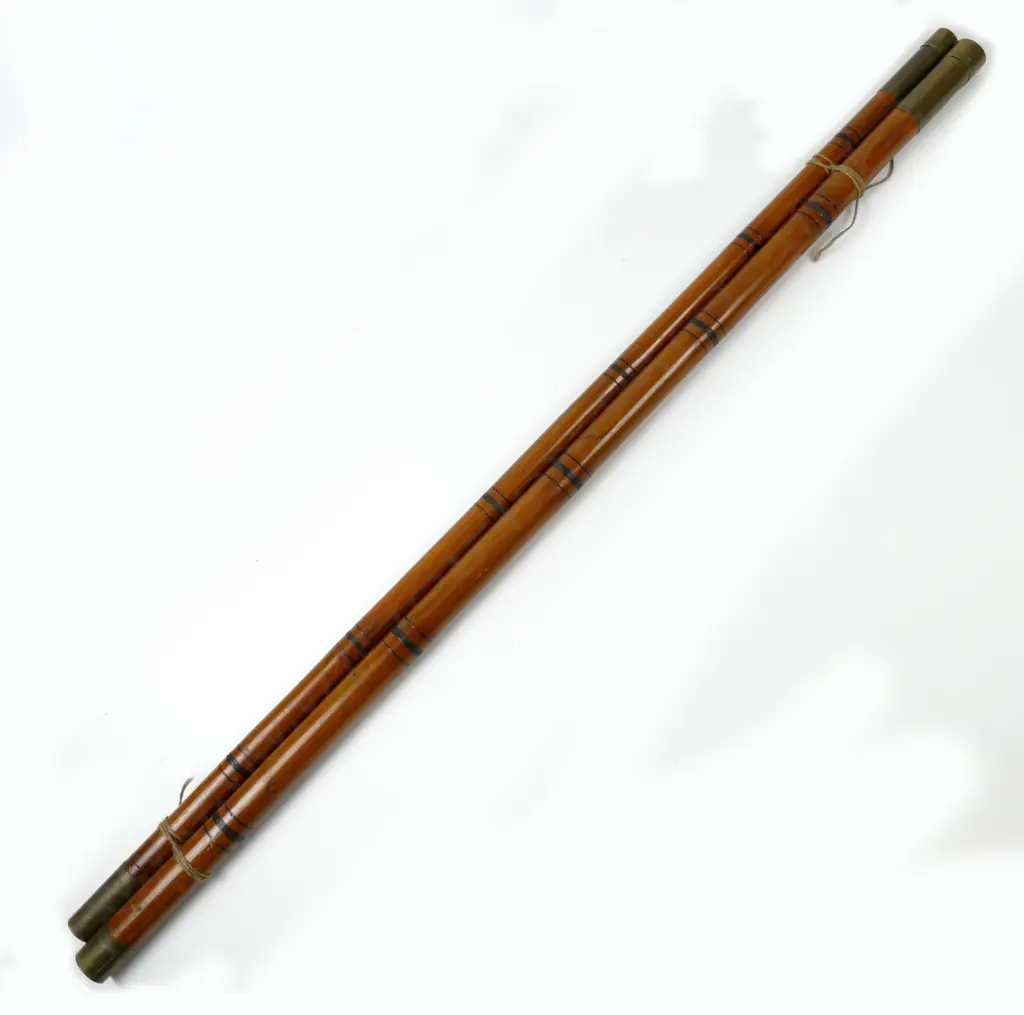A fine Victorian bamboo 18'5" five-piece roach pole Image 1++