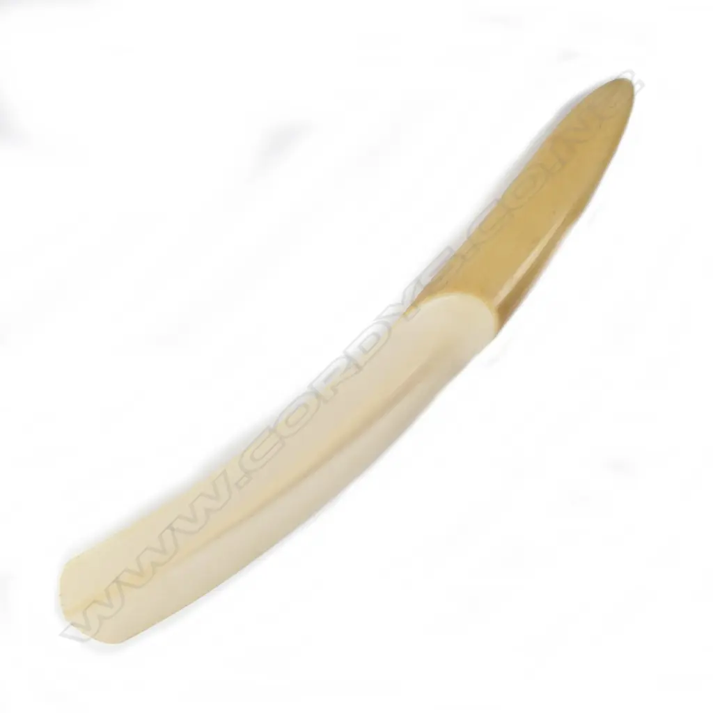 An early 20thC substantial carved ivory paper knife Image 1++