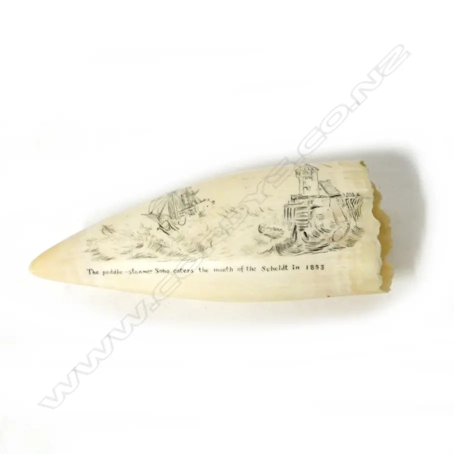 A 20thC scrimshaw whale's tooth Image 1++