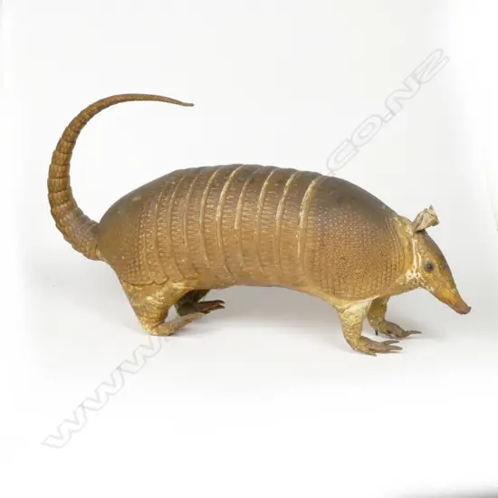 A vintage taxidermy armadillo