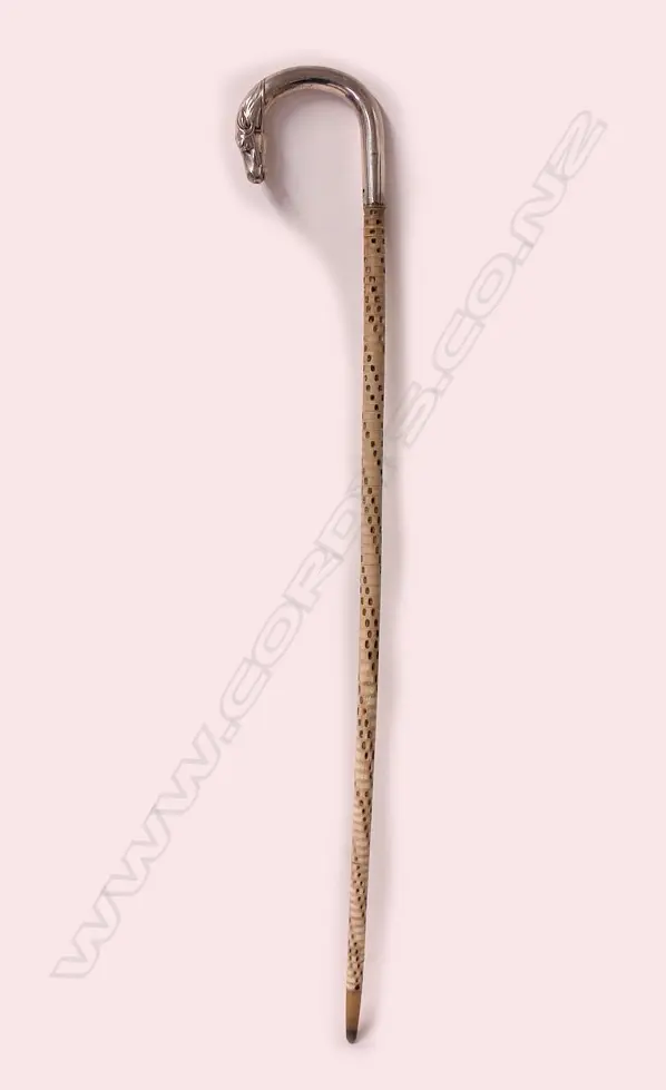 A vintage shark vertebrae walking stick Image 1++