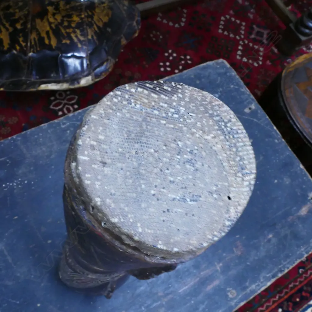 A PNG kundu Image 1++