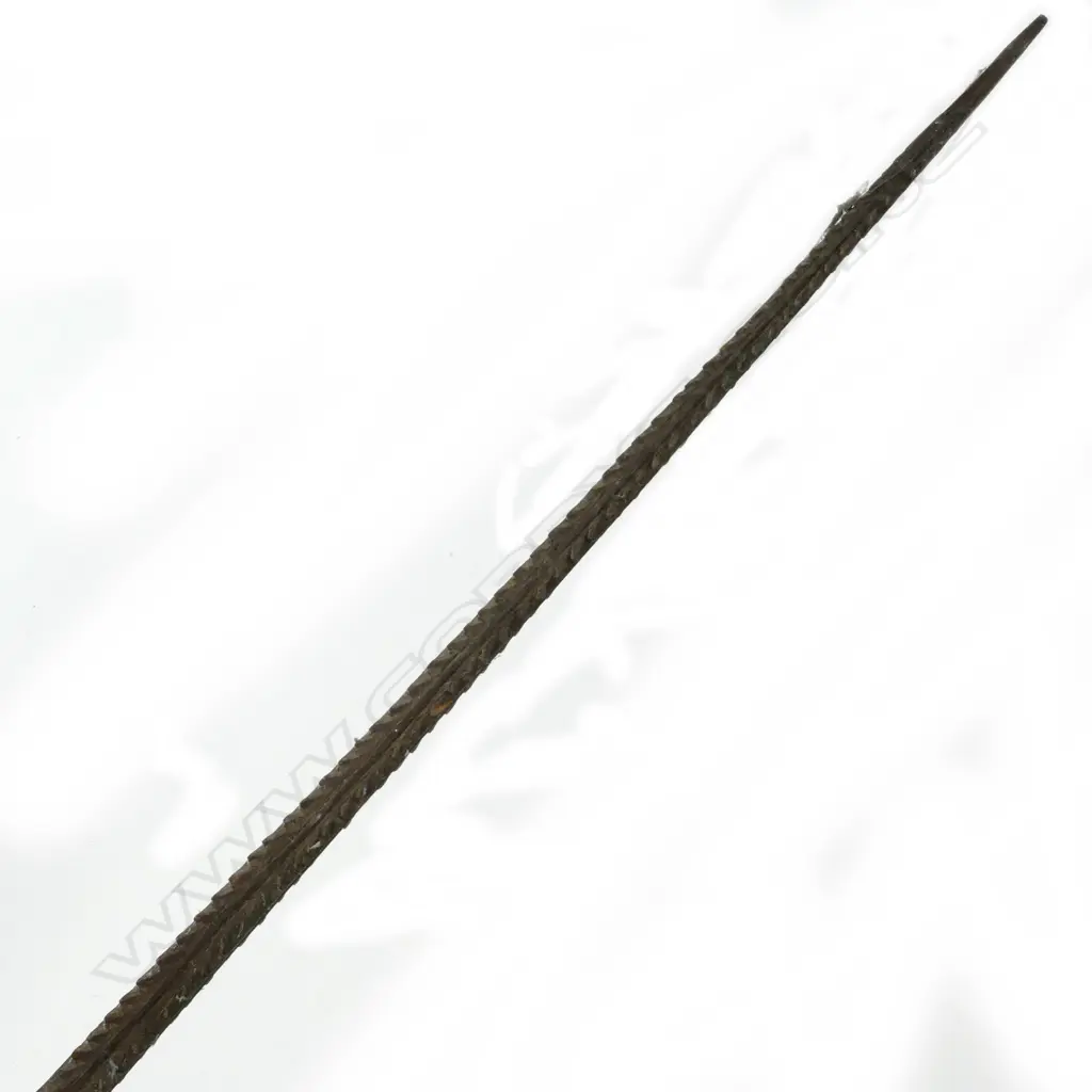 A long old Melanesian fishing spear Image 1++