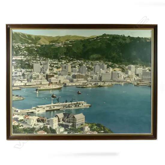 A large hand-coloured photograph of Wellington harbour from Mount Victoria