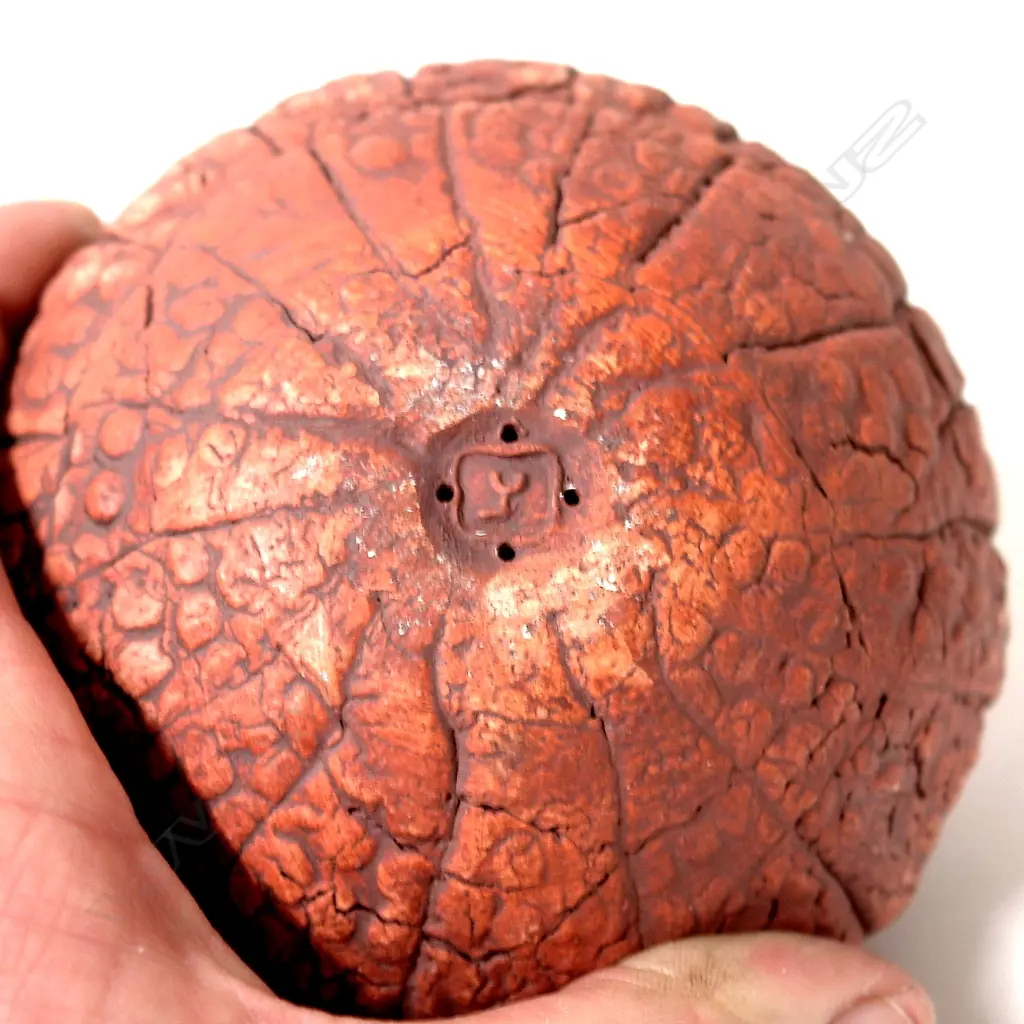 A Len Castle hand modelled 'Sea Secret' Image 1++