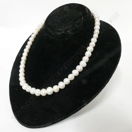 A single strand necklace of cultured freshwater pearls