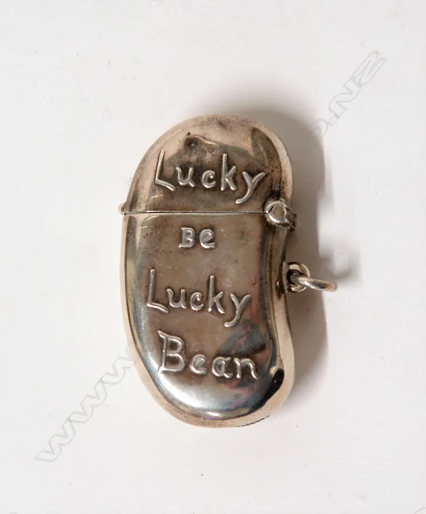 An Edwardian novelty silver 'bean shaped vesta case' Image 1++