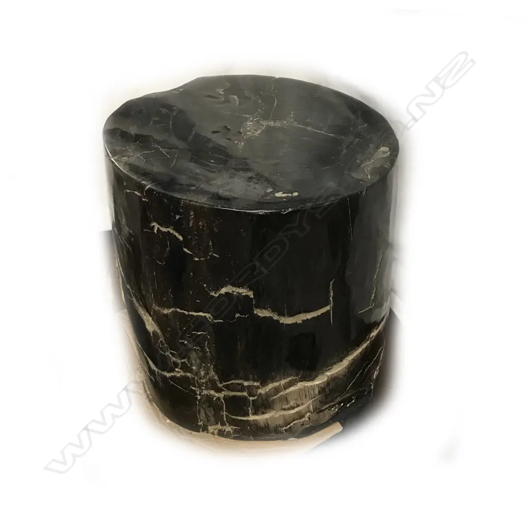 A heavy fossilised wood cylindrical stool Image 1++