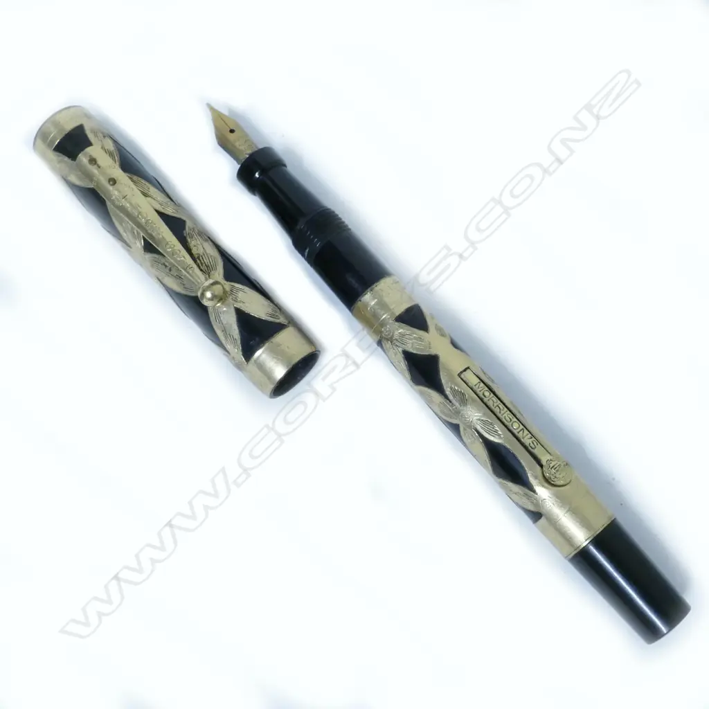 Morrison's overlay fountain pen Image 1++