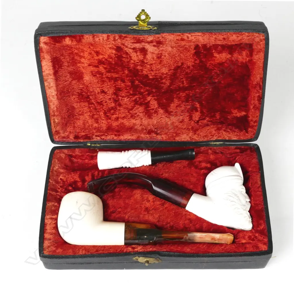 Two cased meerschaum pipes Image 1++