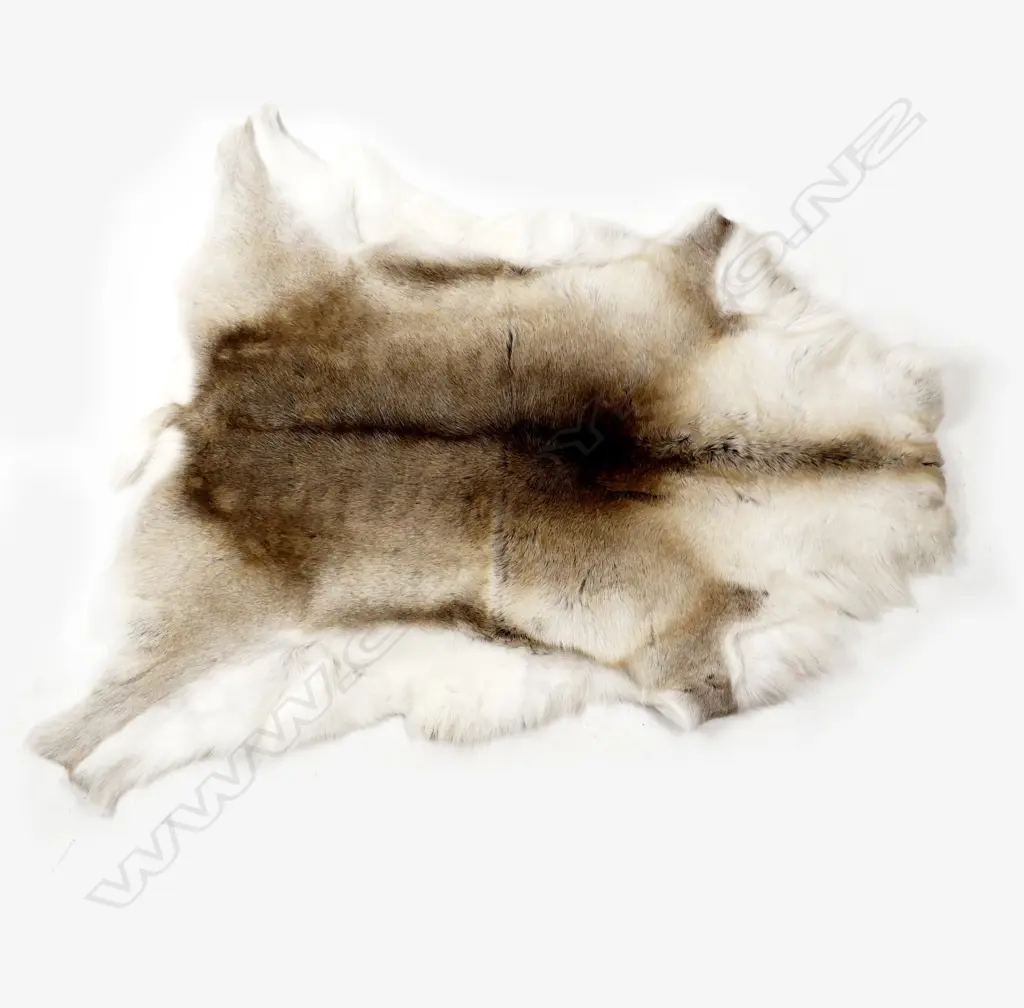 A good quality reindeer skin rug Image 1++