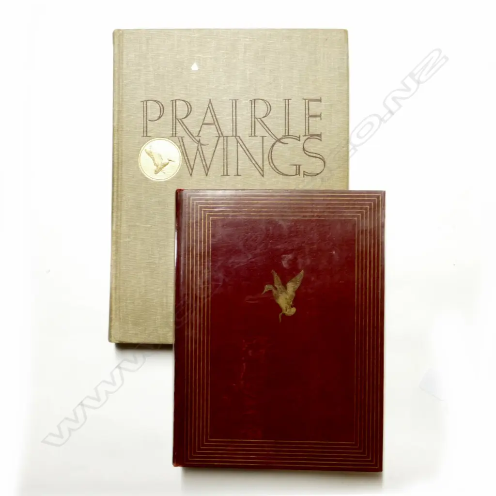 Two mid 20thC duck shooting books Image 1++
