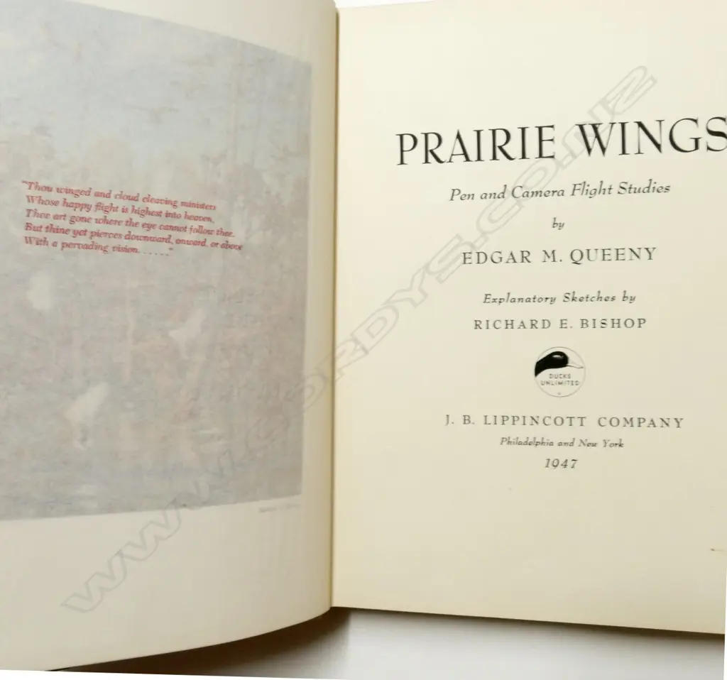 Two mid 20thC duck shooting books Image 1++