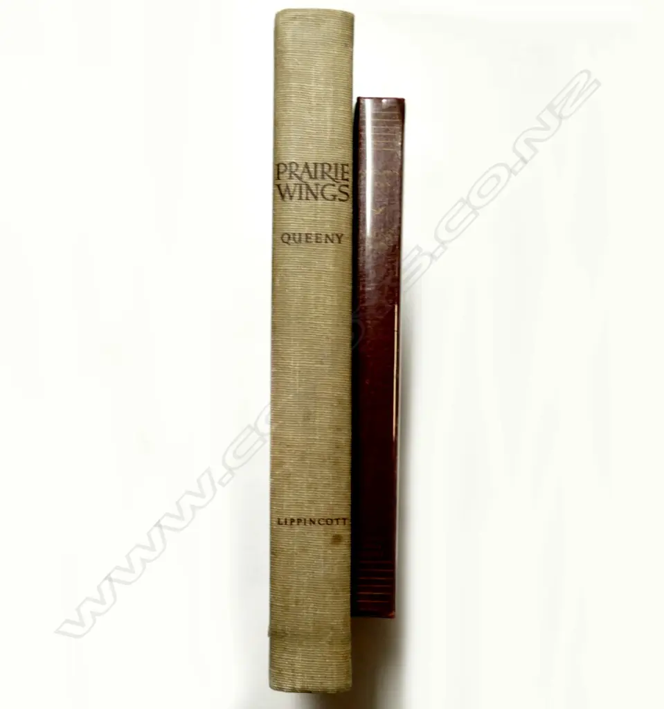 Two mid 20thC duck shooting books Image 1++