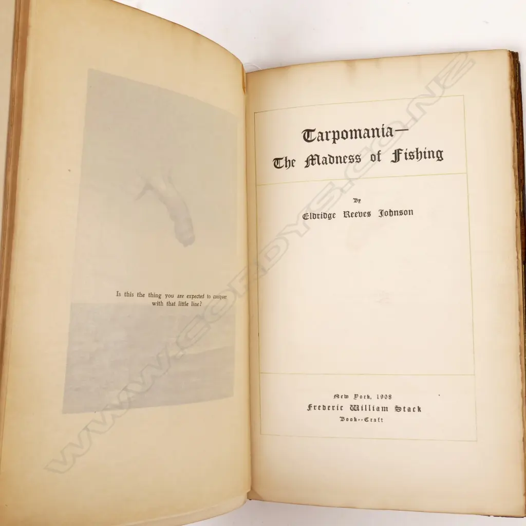 Eldridge Reeves Johnson 'Tarpomania - The Madness of Fishing' Image 1++
