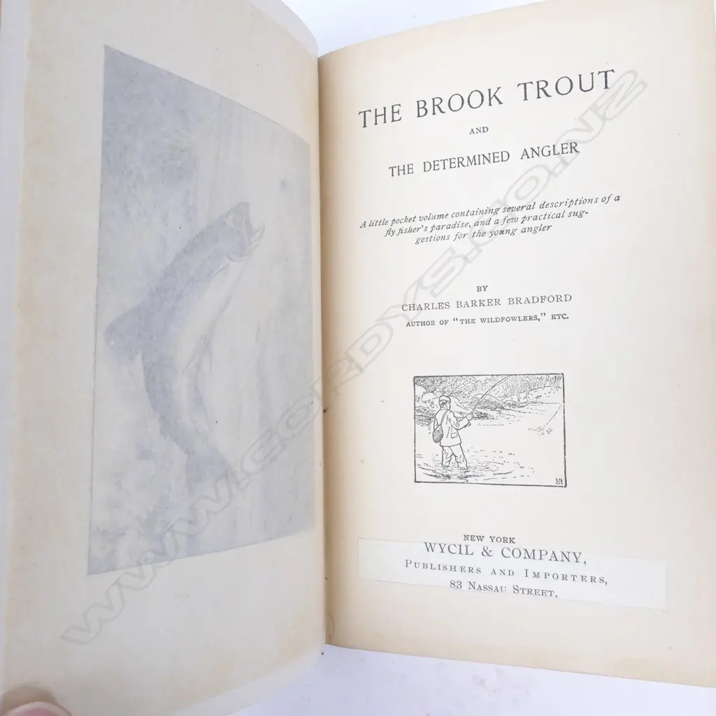Six late 19thC/early 20thC Angling books Image 1++