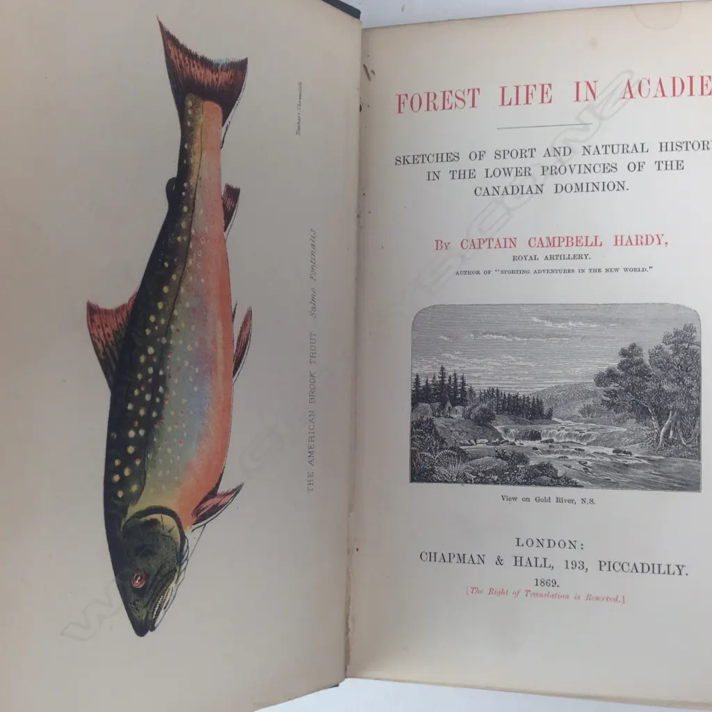 Cpt. Campbell Hardie 'Early Life in Arcadie...' London 1869) Image 1++